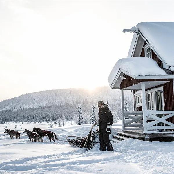 image of Fjellborgs Sleddog Kennel AB