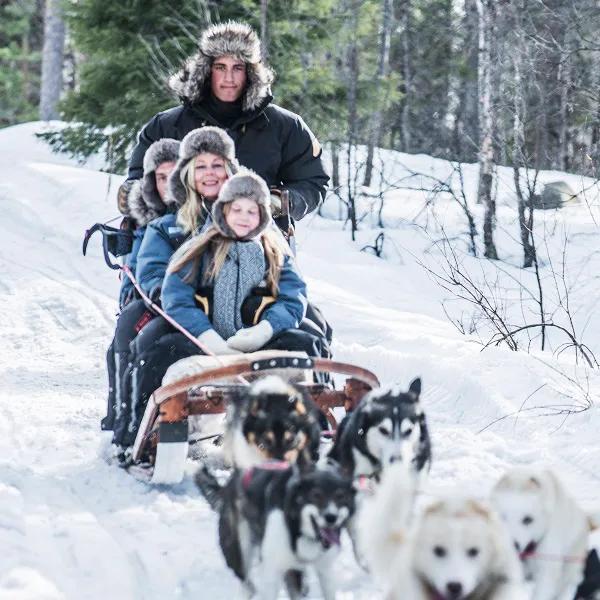 image of Fjellborgs Sleddog Kennel AB