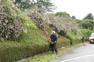 Image of the location （有）花信風