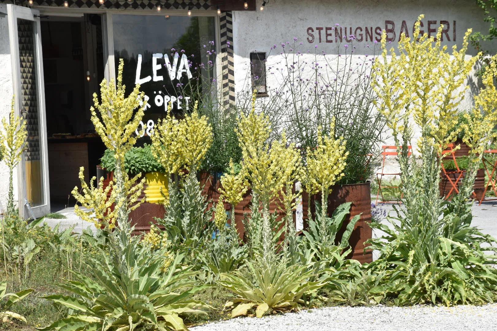 Image of the location Leva Kungslador