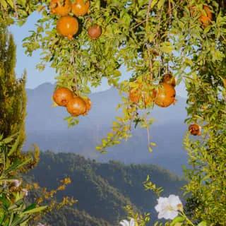 image of Caruso, A Belmond Hotel, Amalfi Coast