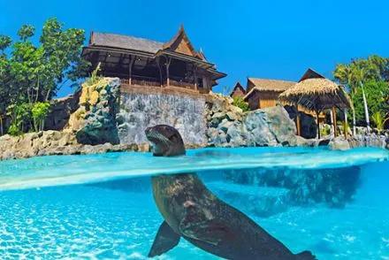 image of Siam Park