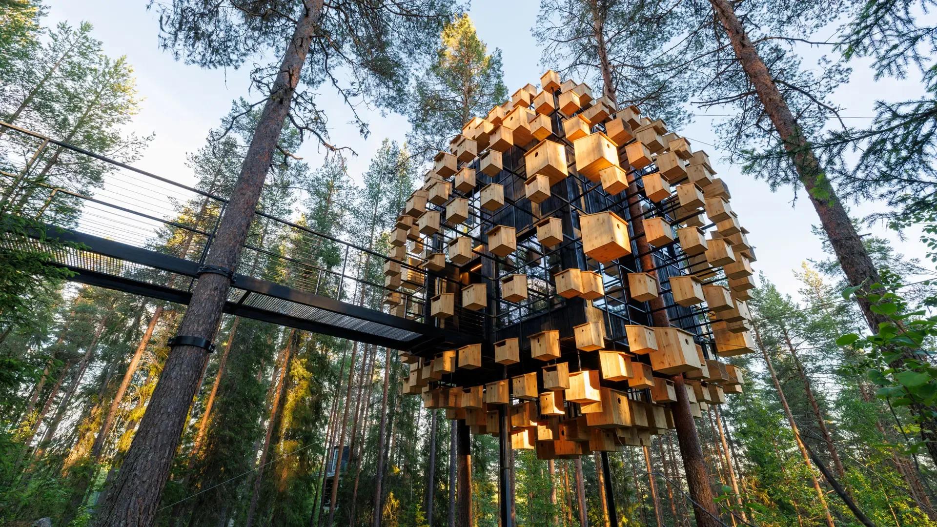 image of Tree Hotel