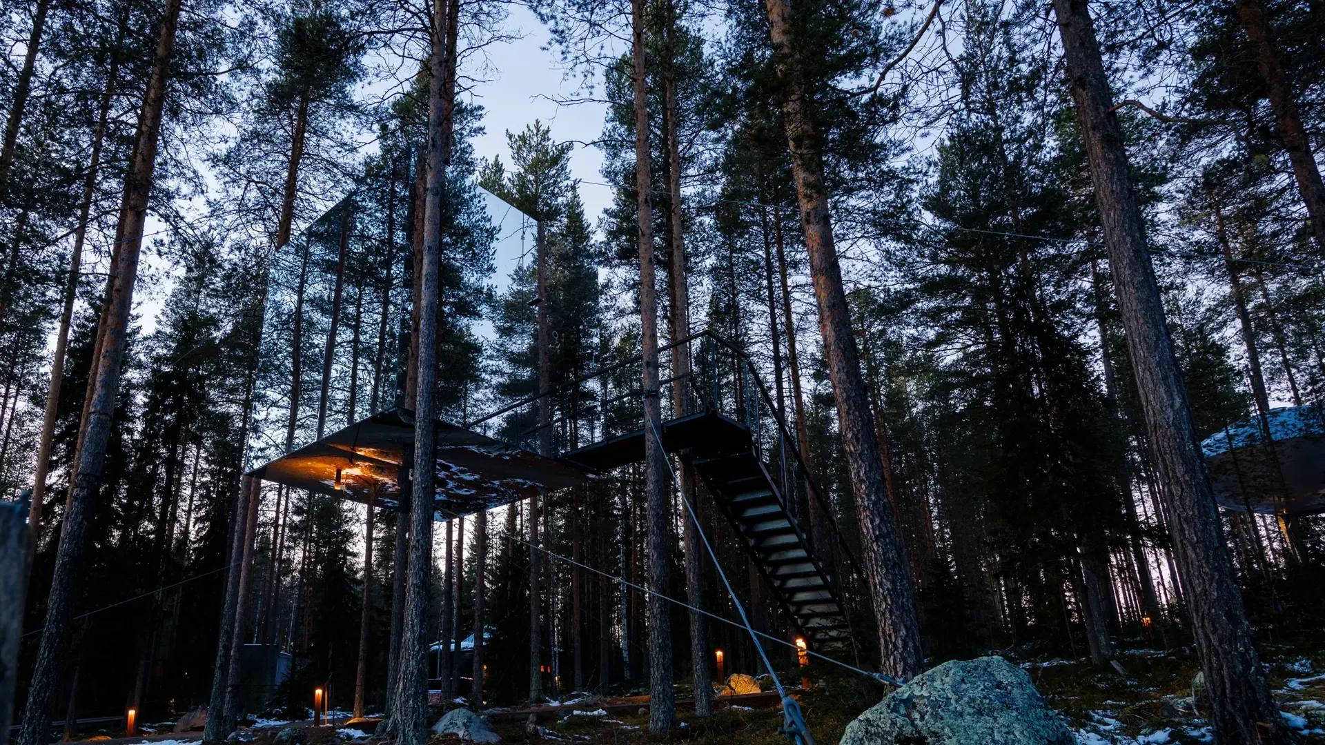 image of Tree Hotel