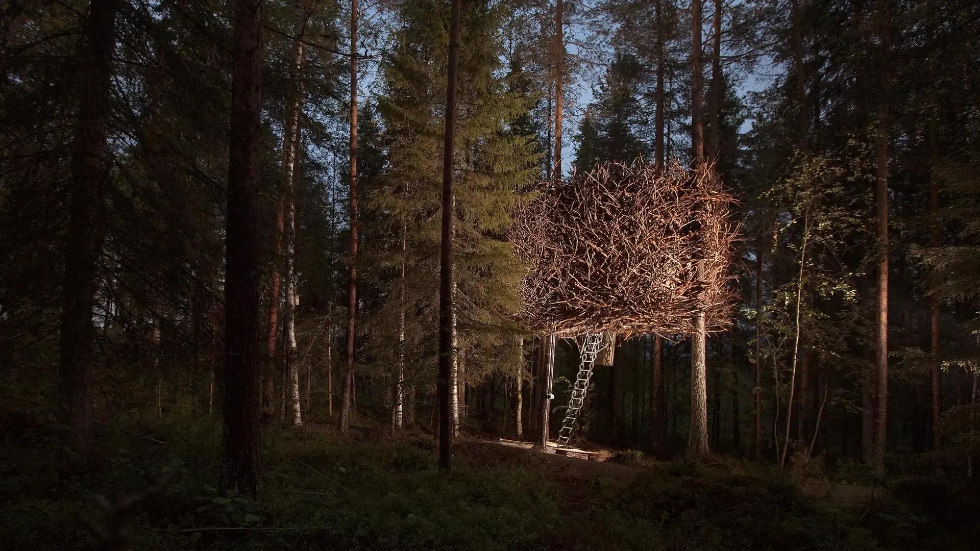 image of Tree Hotel