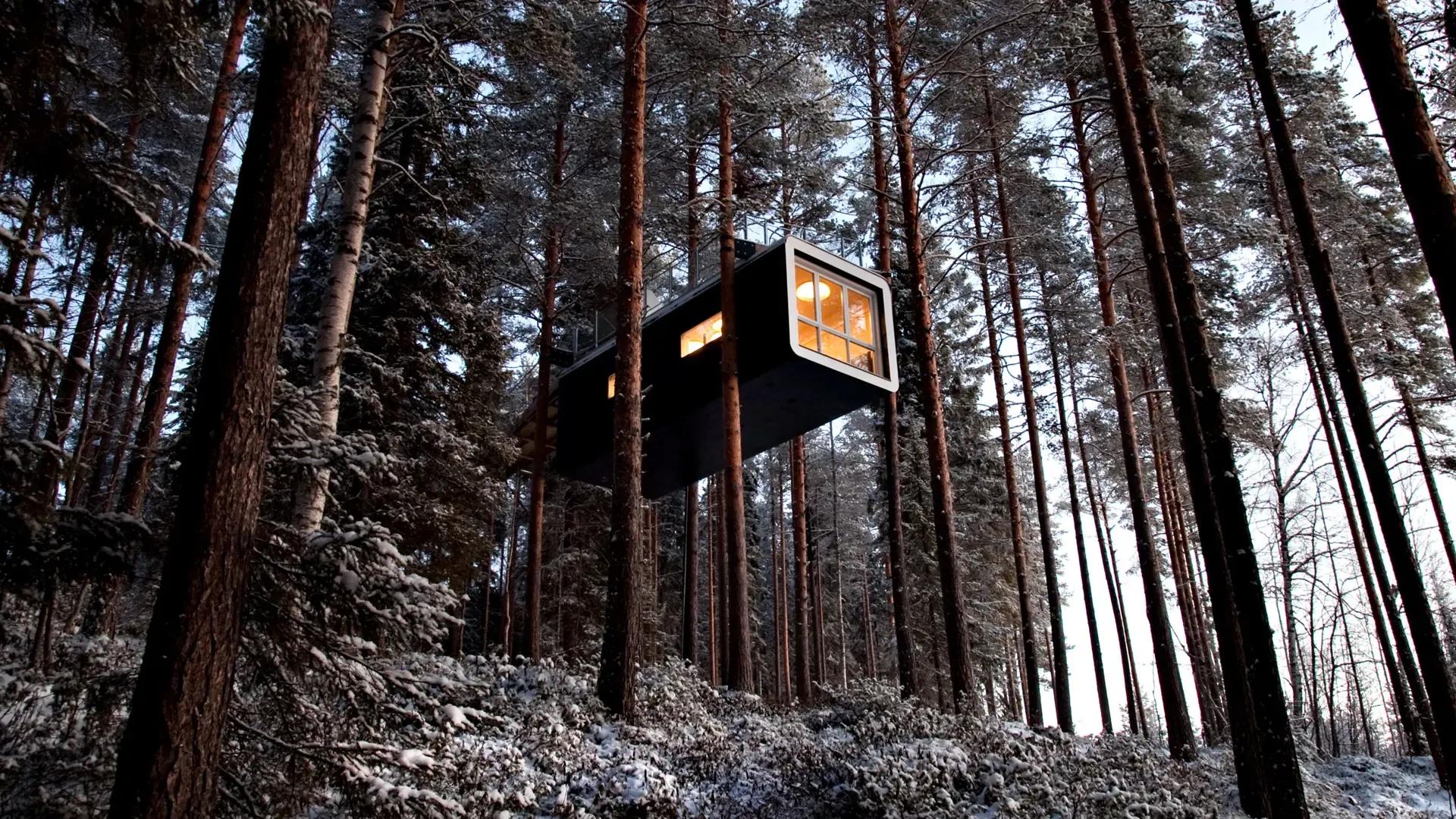 image of Tree Hotel