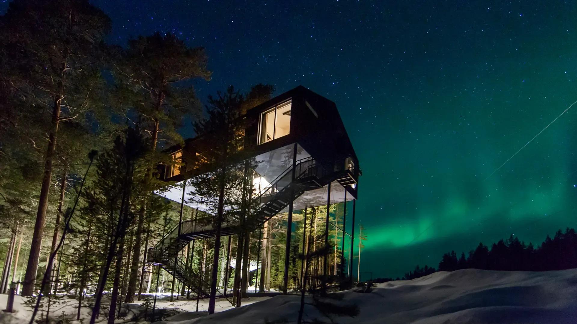 image of Tree Hotel