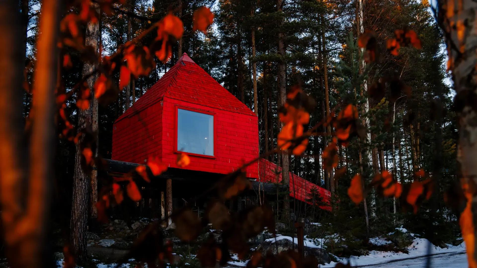 image of Tree Hotel