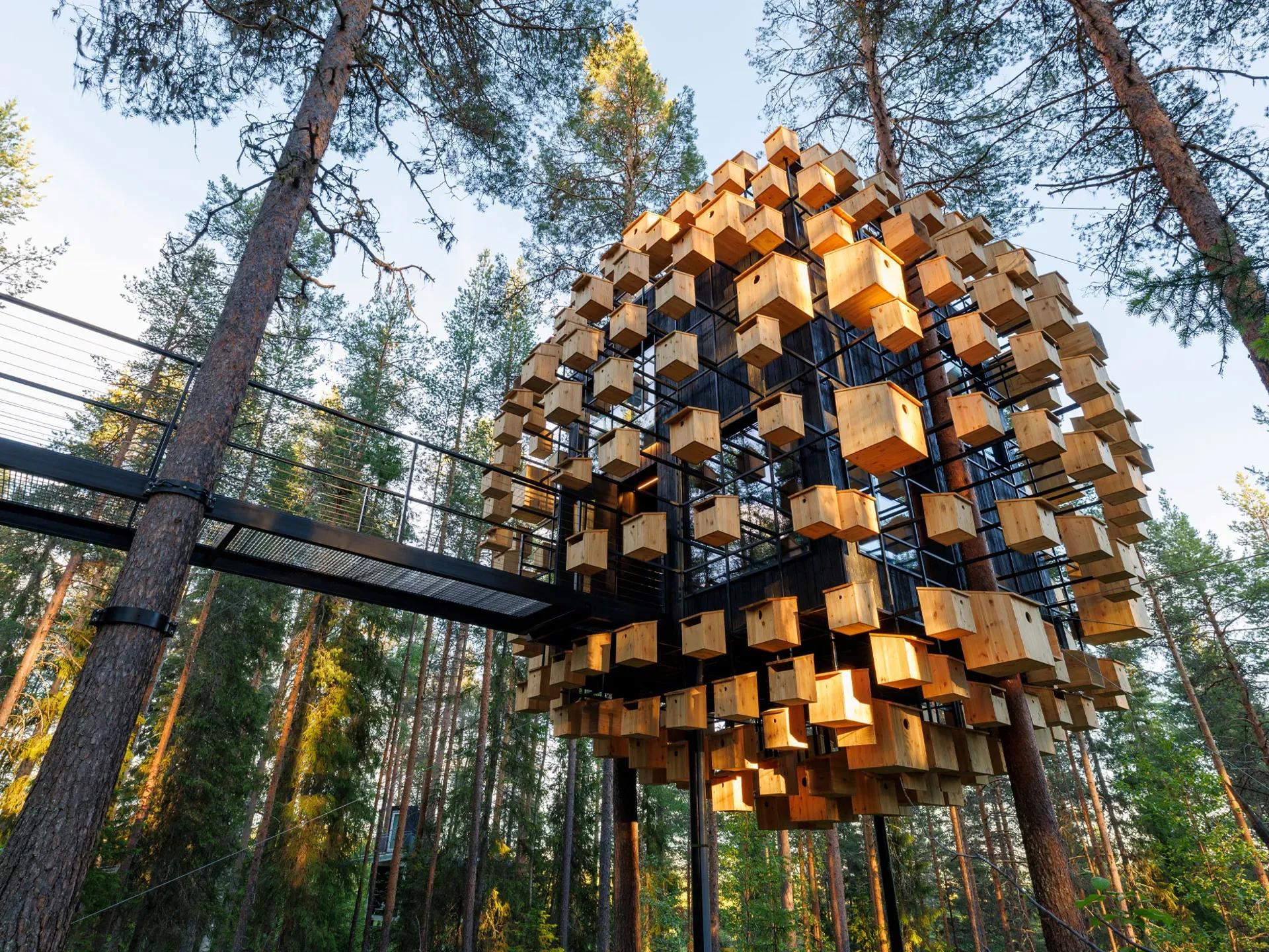 image of Tree Hotel