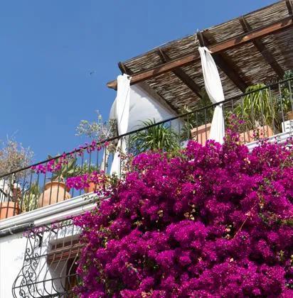 image of Hotel Boutique La Serena Altea