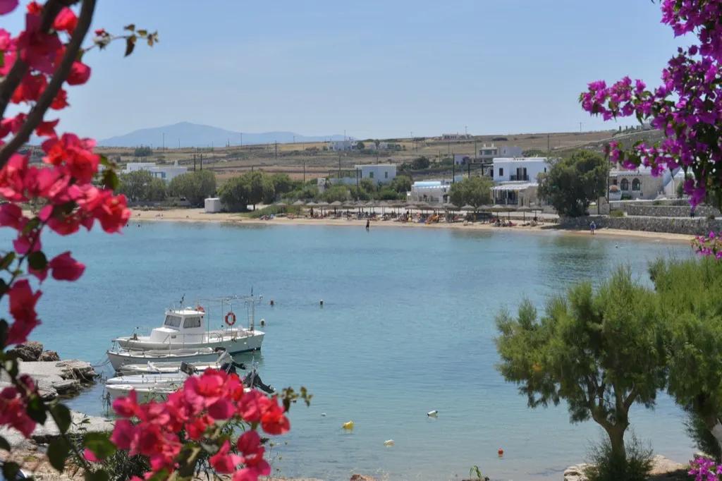 Image of the location Bocamviglies By The Sea