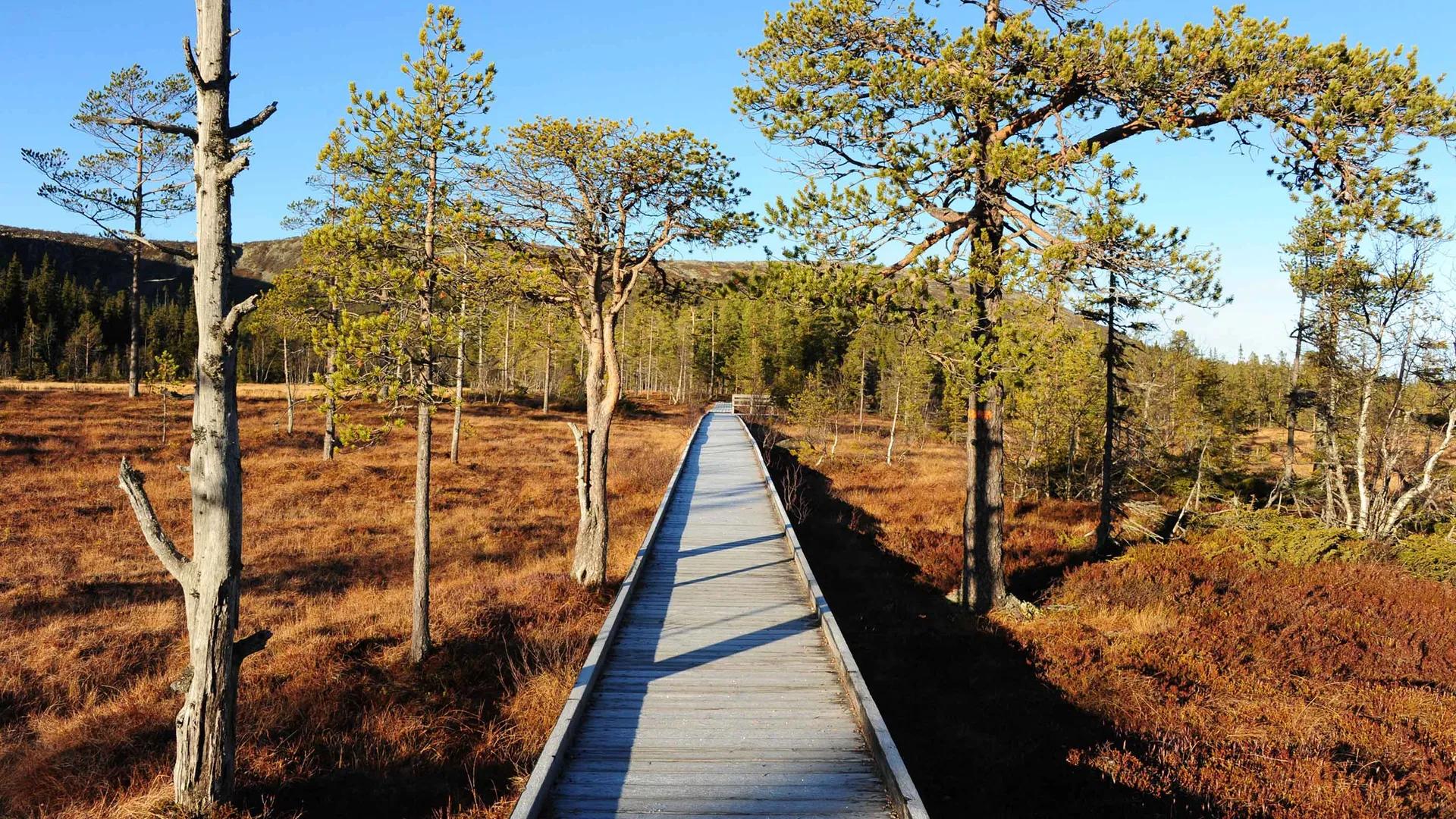 Image of the location Njupeskär Waterfall