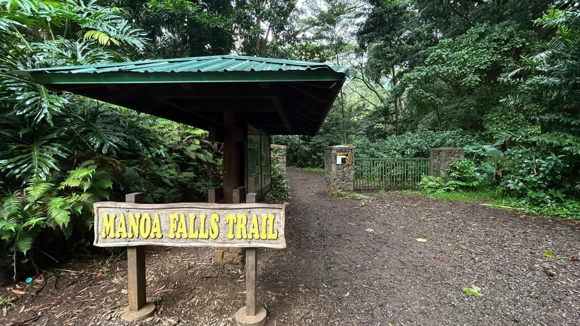 Mānoa Falls Trail