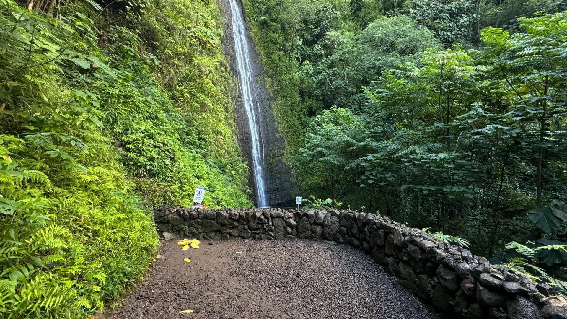 image of Mānoa Falls Trail