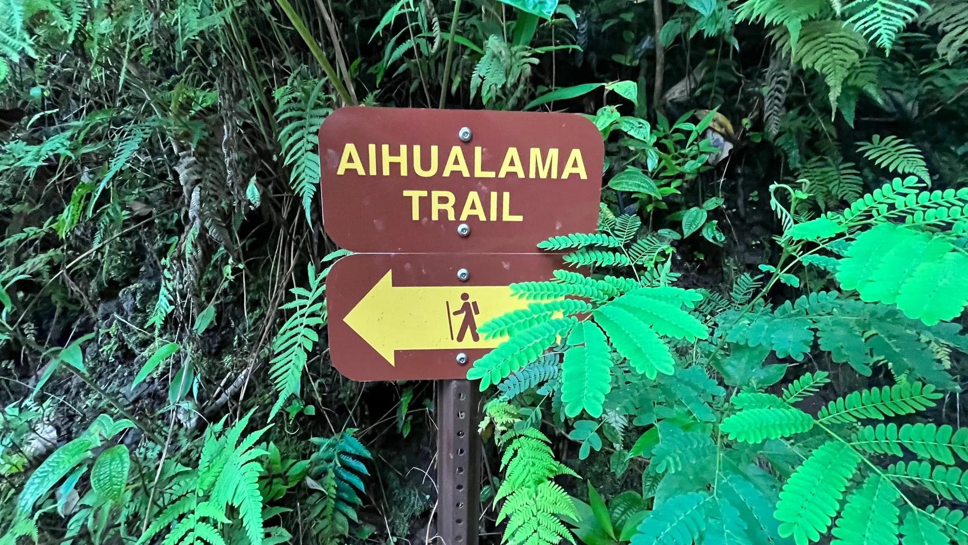 image of Mānoa Falls Trail