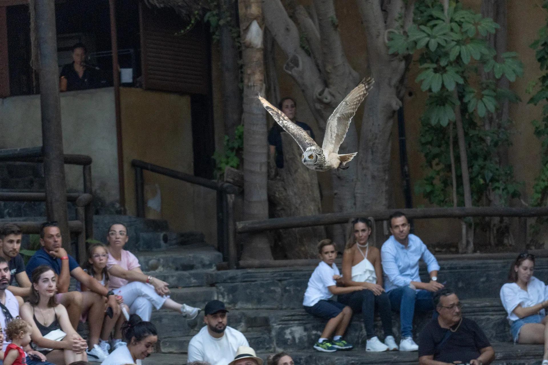 image of Bioparc Fuengirola