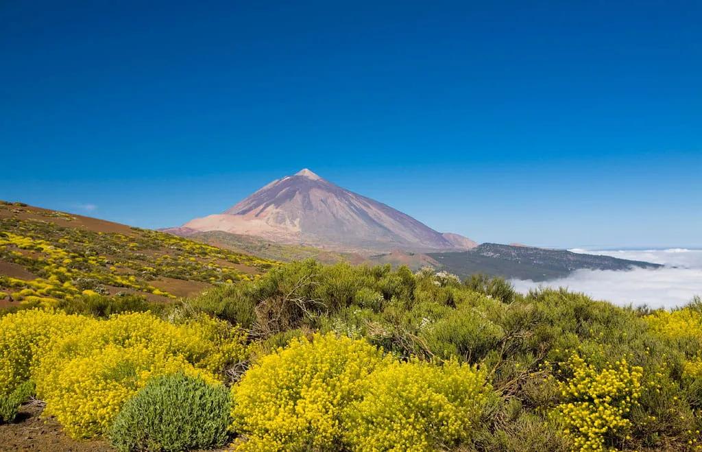 Image of the location Parque Nacional del Teide