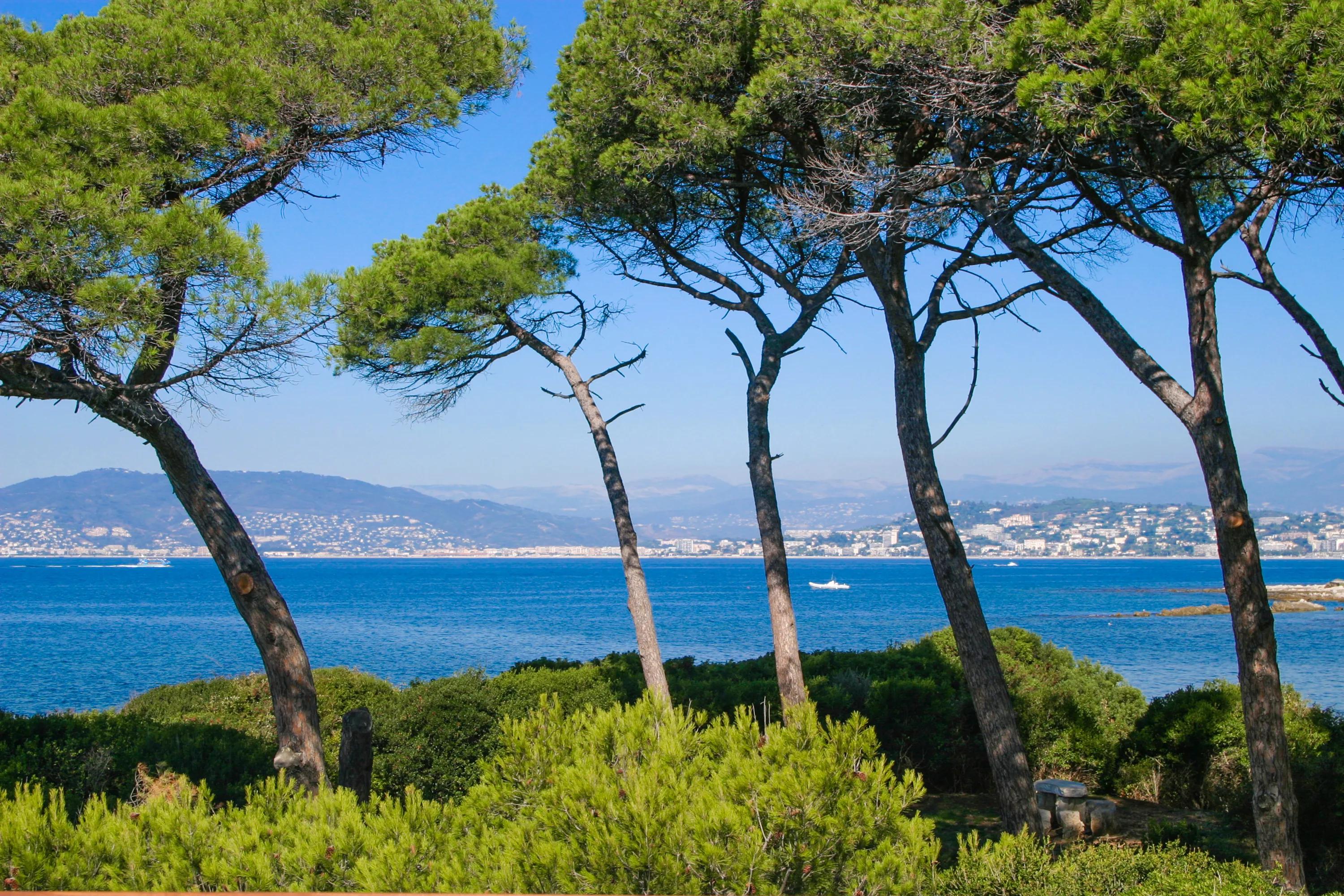 image of Île Sainte-Marguerite