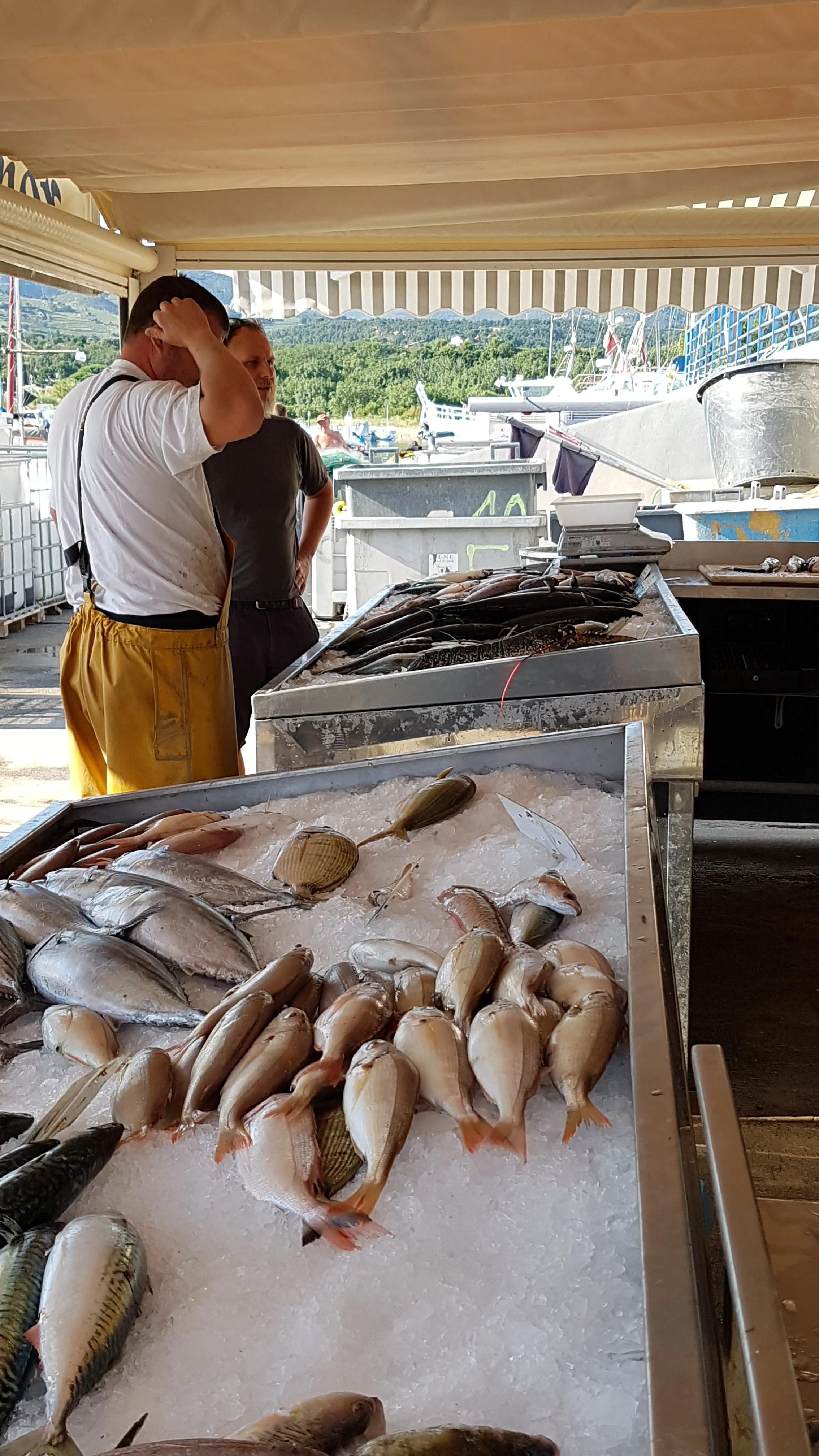 Image of the location Vente directe de poisson Argeles sur Mer - Olivier Durietz