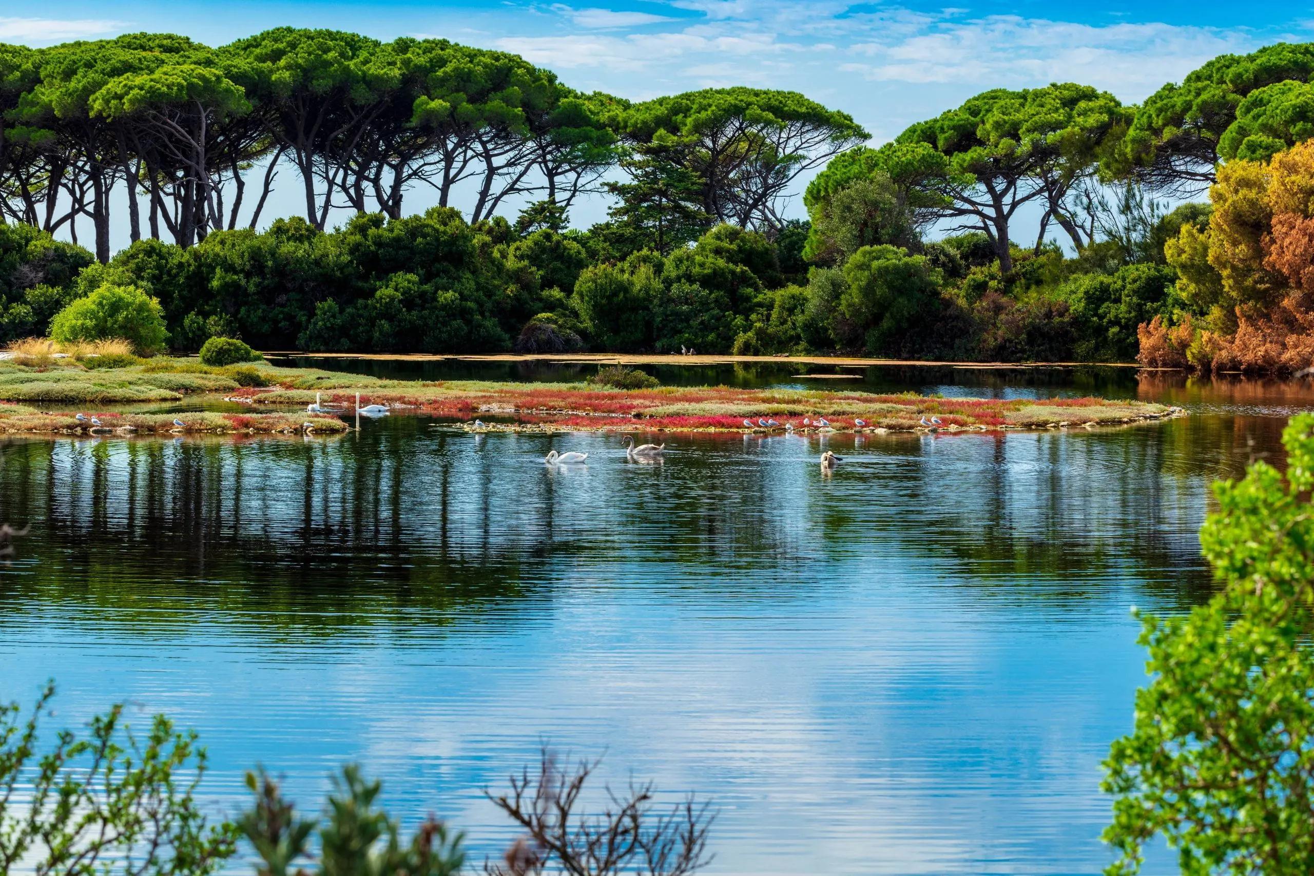 image of Île Sainte-Marguerite