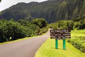 Image of the location Hoʻomaluhia Botanical Garden