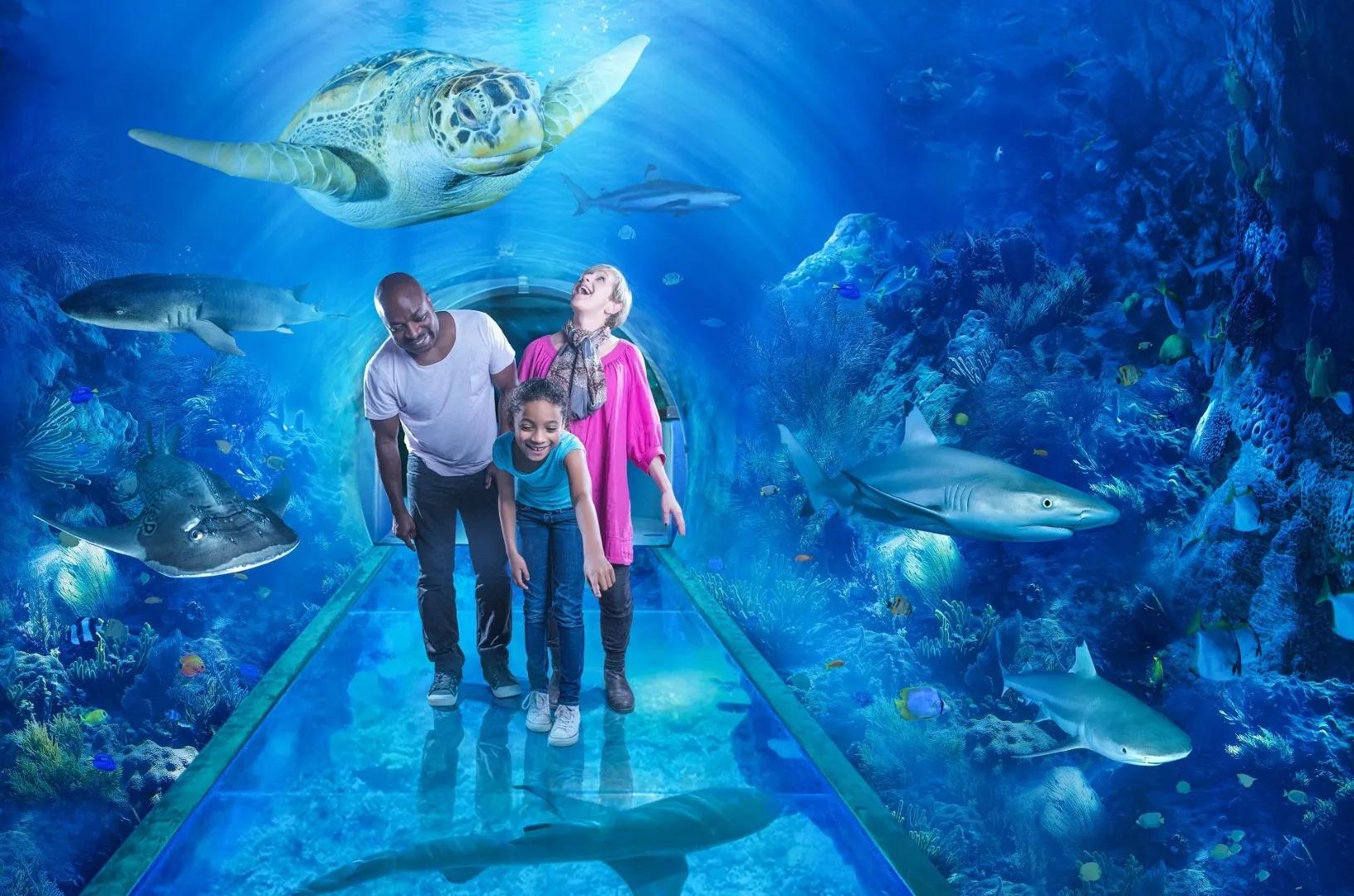 image of National SEA LIFE Centre Birmingham