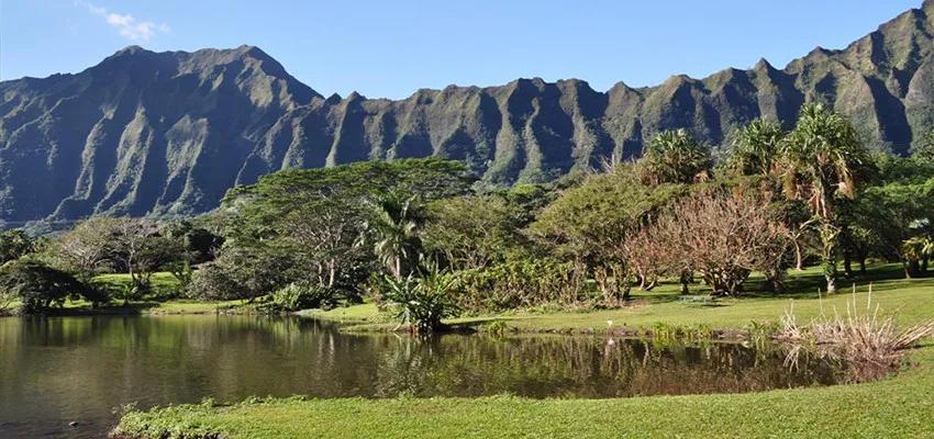 image of Hoʻomaluhia Botanical Garden