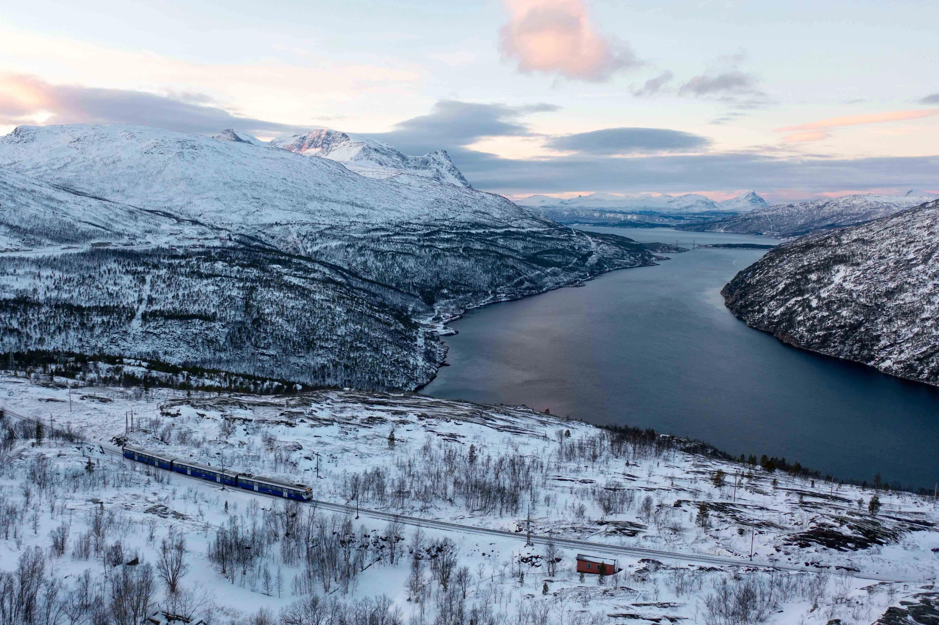 image of The Arctic Train