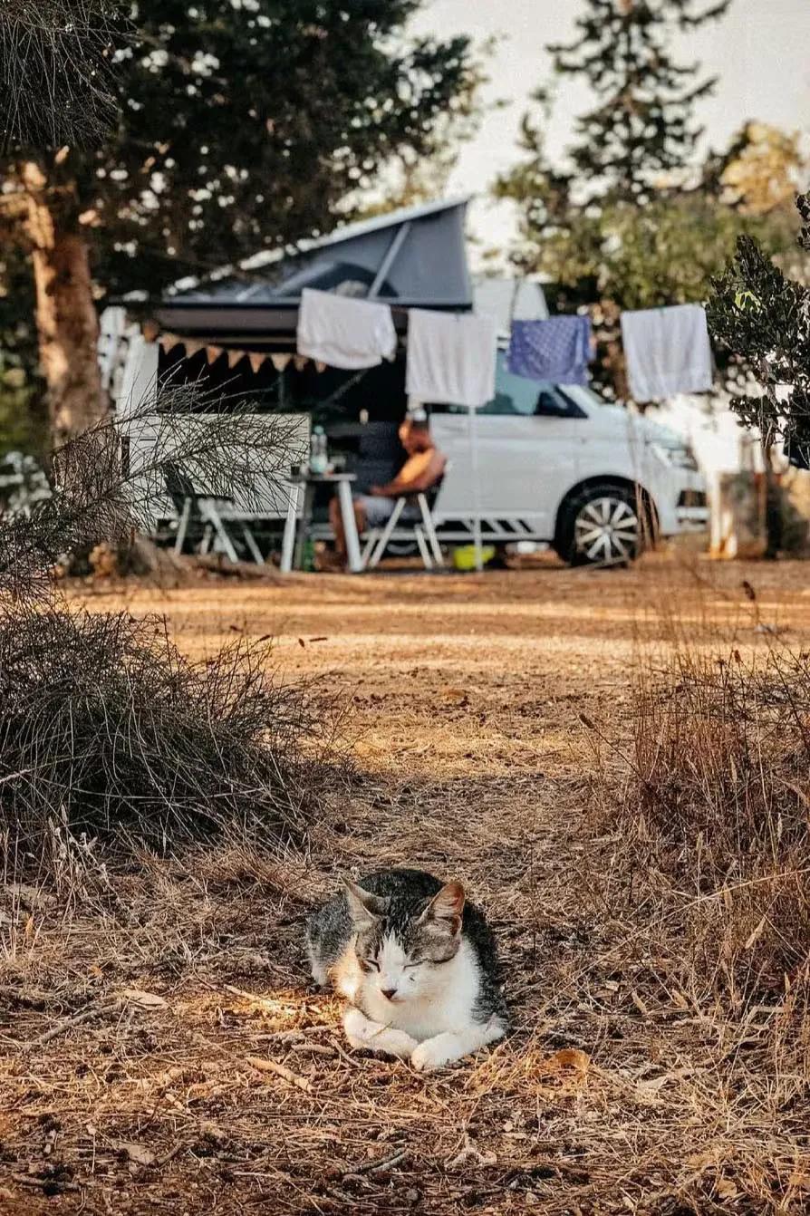 Image of the location SALEMA ECO CAMP - SURF & NATURE