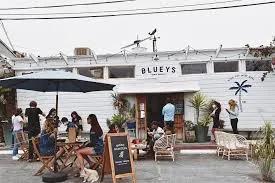 Blueys Santa Monica