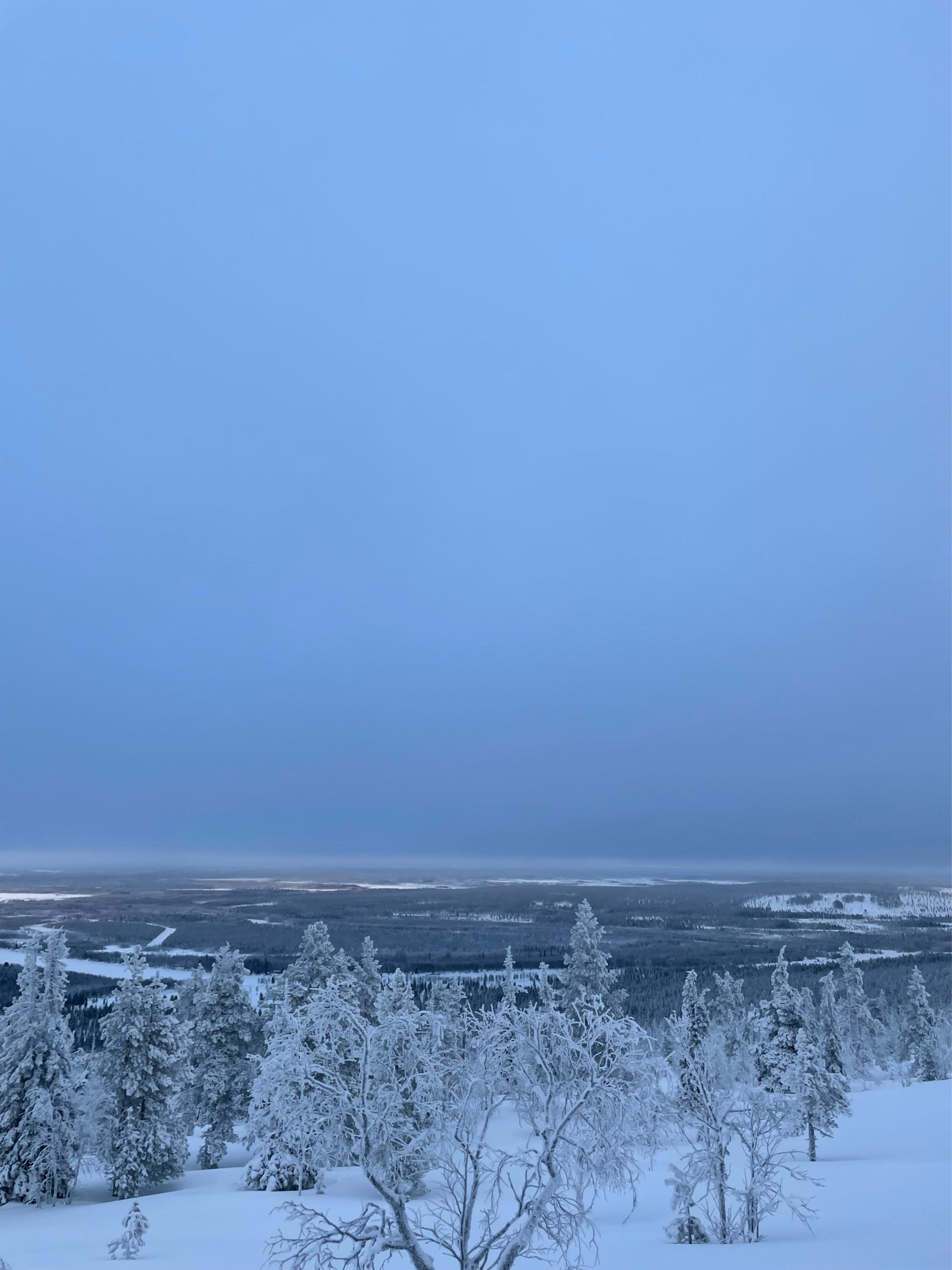 image of Levin Iglut Glass Igloos