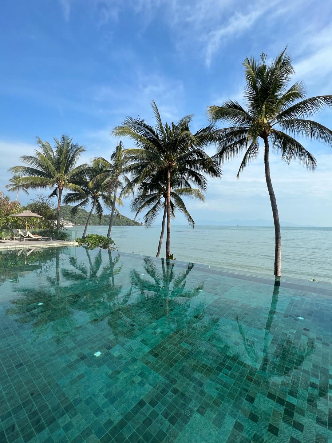 image of CELES SAMUI