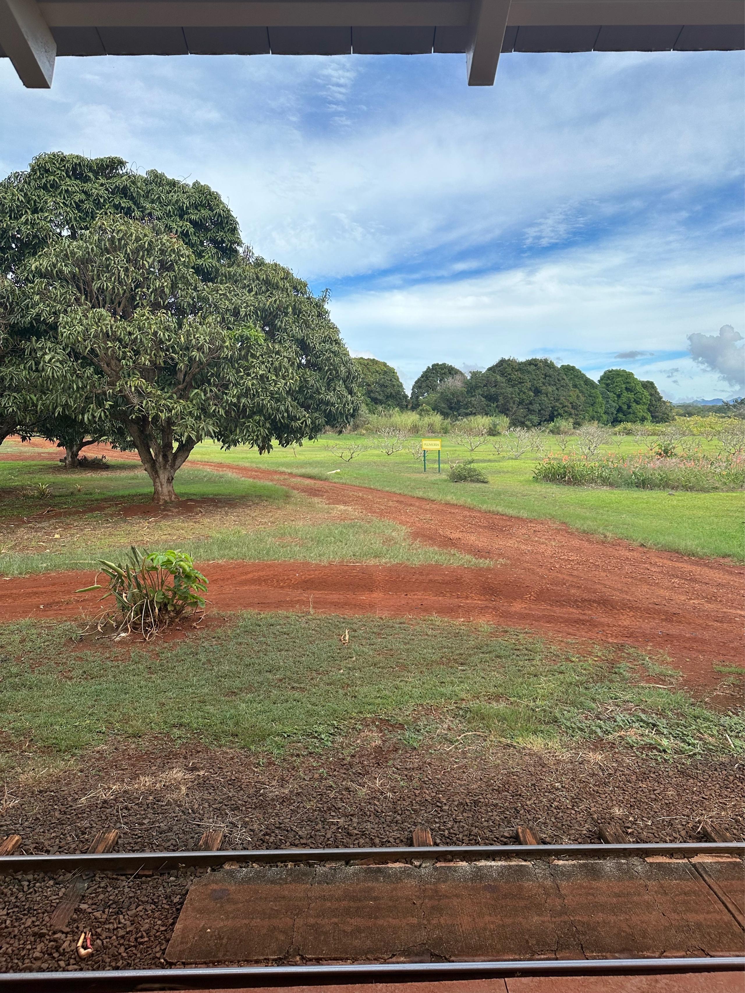 image of Dole Plantation