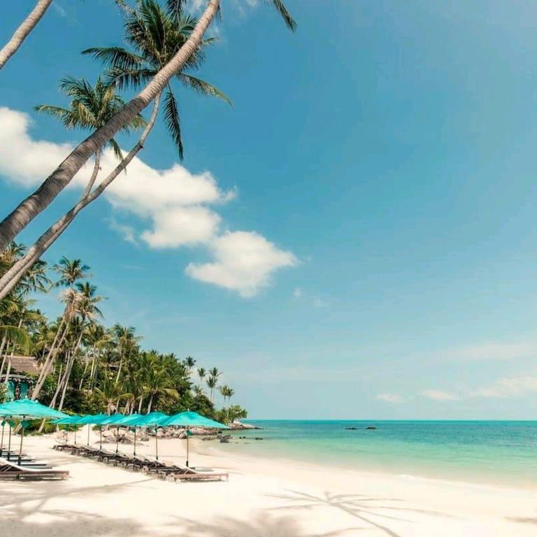 image of Four Seasons Resort Koh Samui