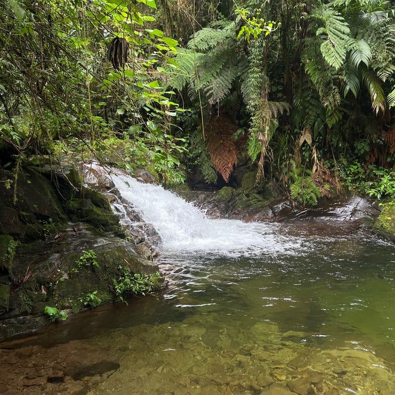 image of The Lost Waterfalls / Las Tres Cascadas
