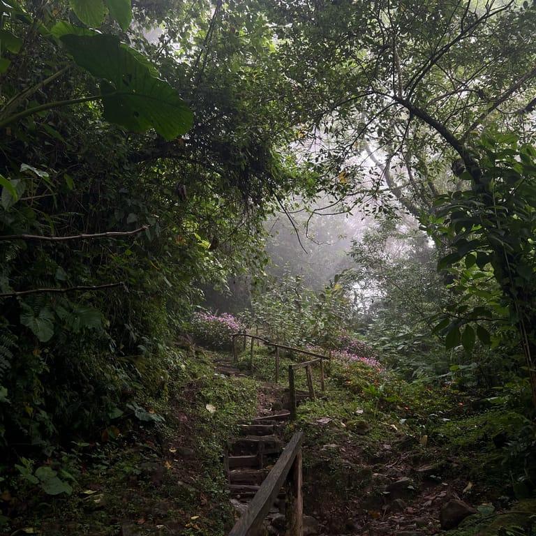 image of The Lost Waterfalls / Las Tres Cascadas
