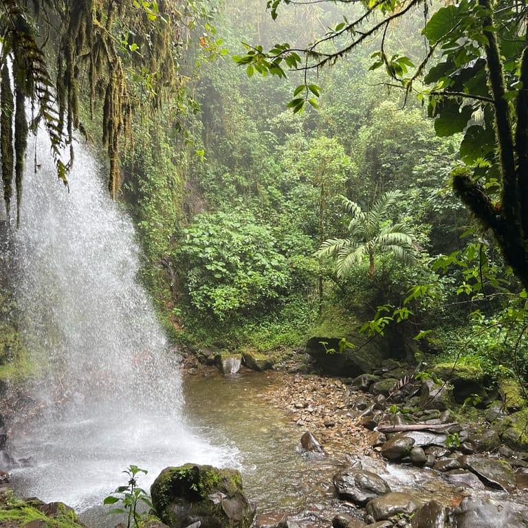 image of The Lost Waterfalls / Las Tres Cascadas