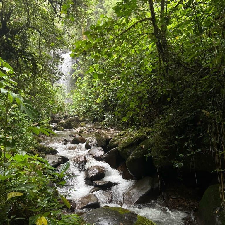 image of The Lost Waterfalls / Las Tres Cascadas