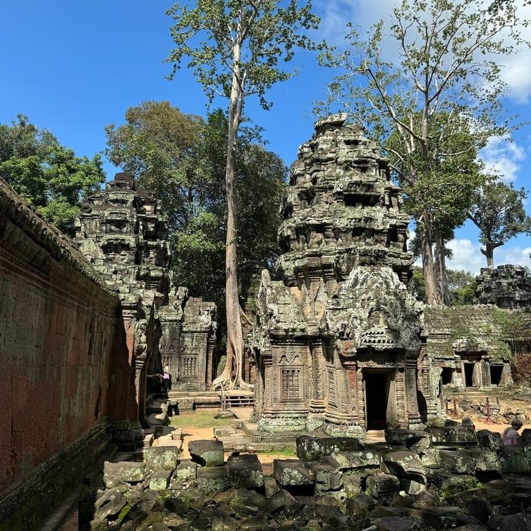Spot image 3