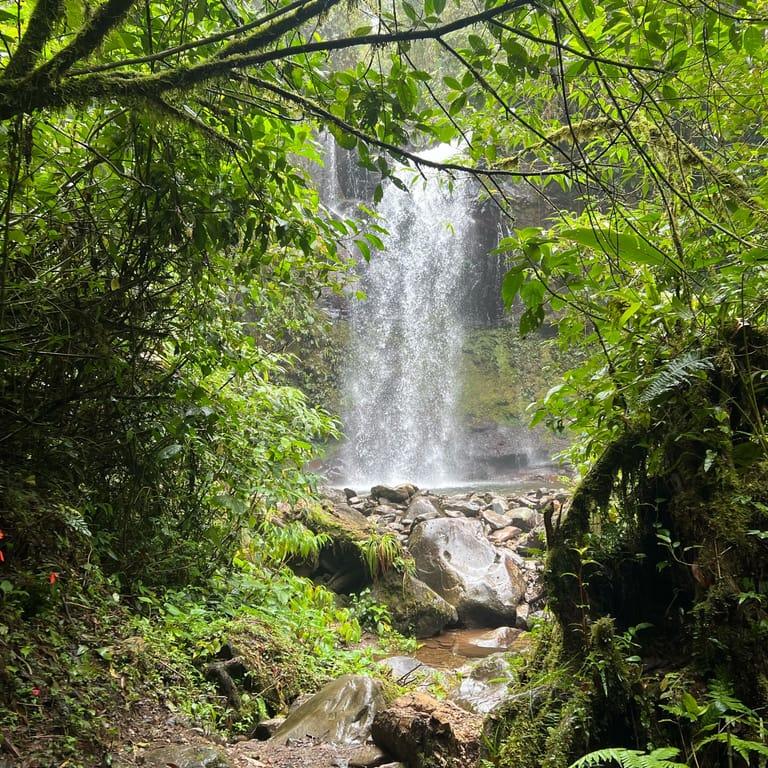image of The Lost Waterfalls / Las Tres Cascadas