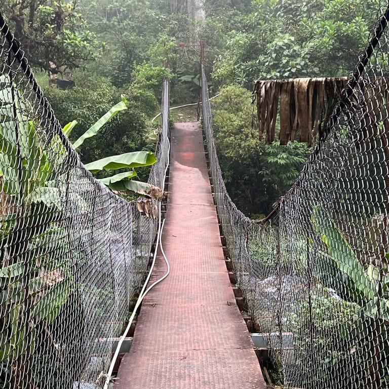 image of The Lost Waterfalls / Las Tres Cascadas