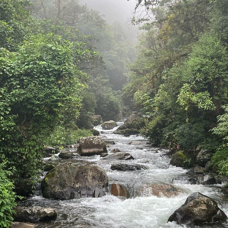 image of The Lost Waterfalls / Las Tres Cascadas