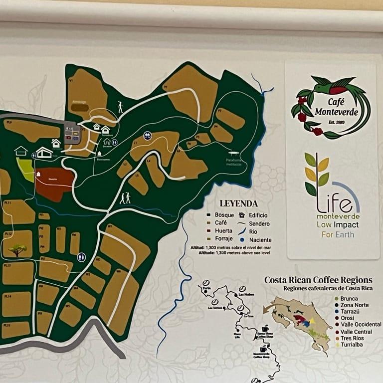 image of Café Monteverde