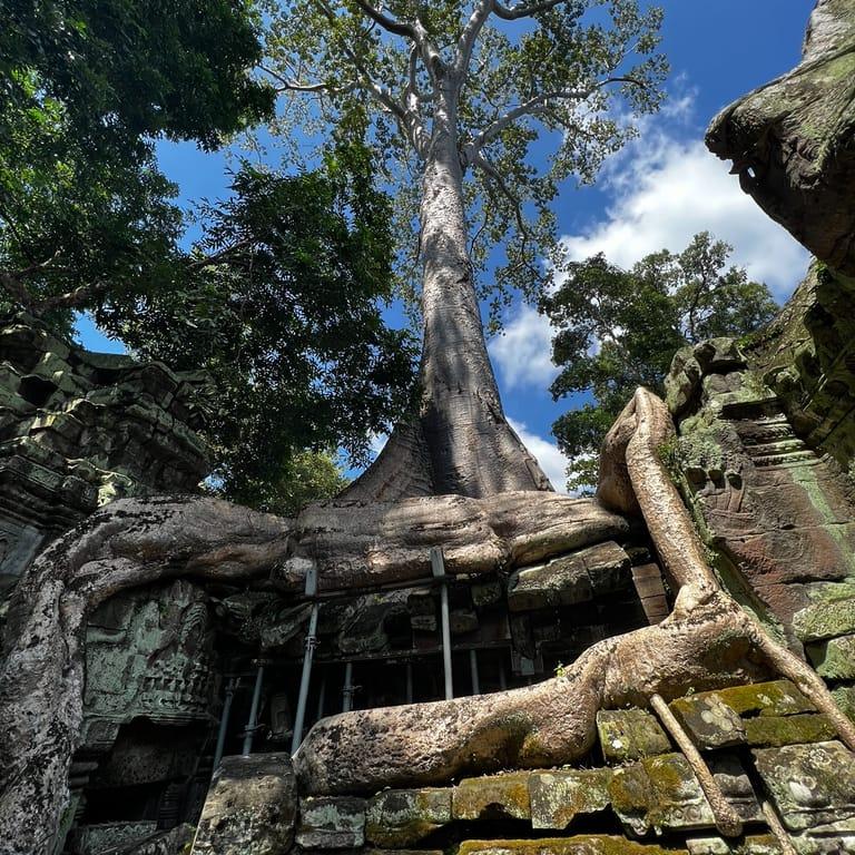 Spot image 4