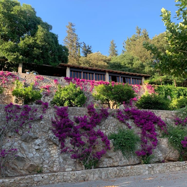 image of Ses Coves. Cafè & Grill