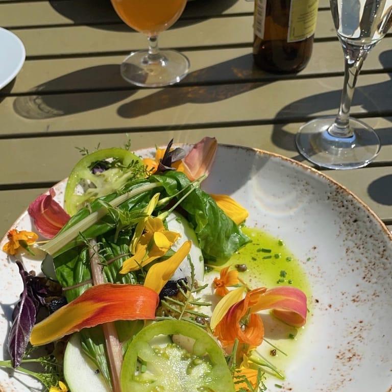 image of Katrinetorp Landeri