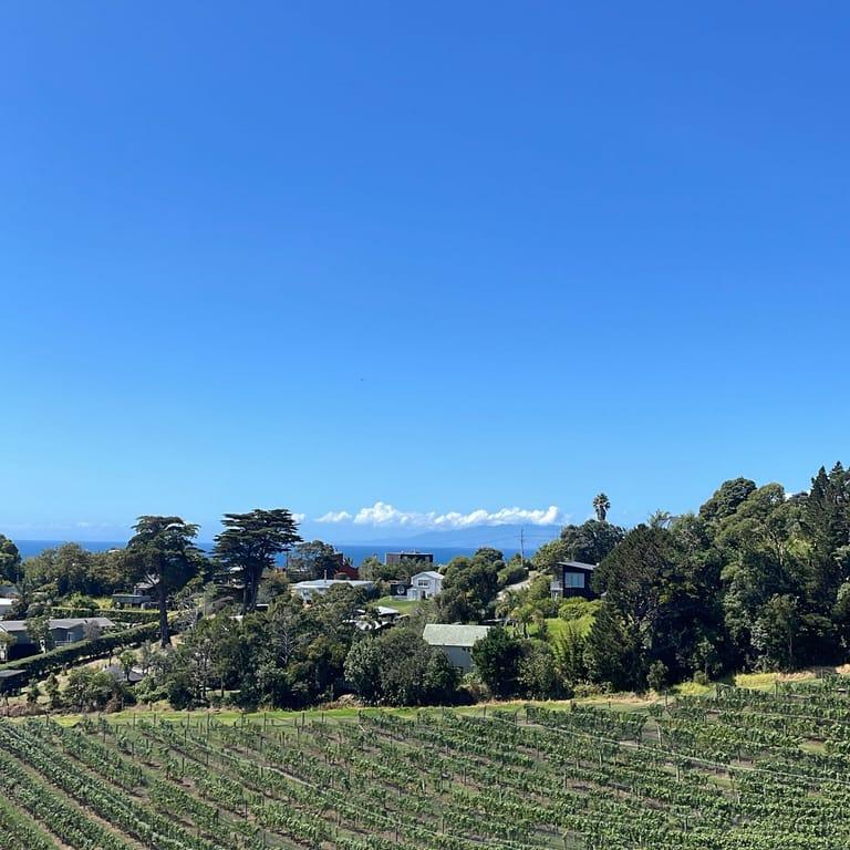 image of Casita Miro