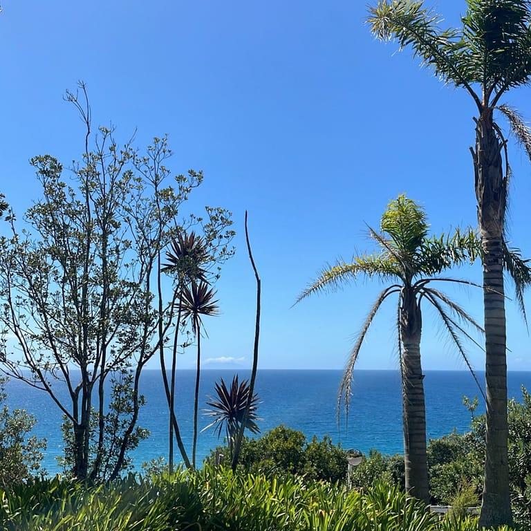 image of Casita Miro