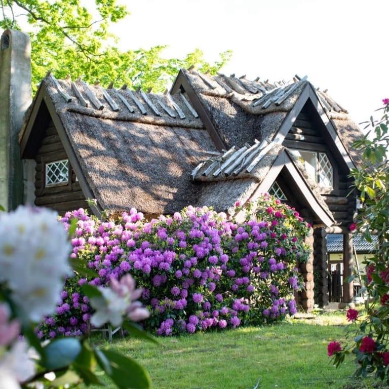 image of Kivik Cider factory