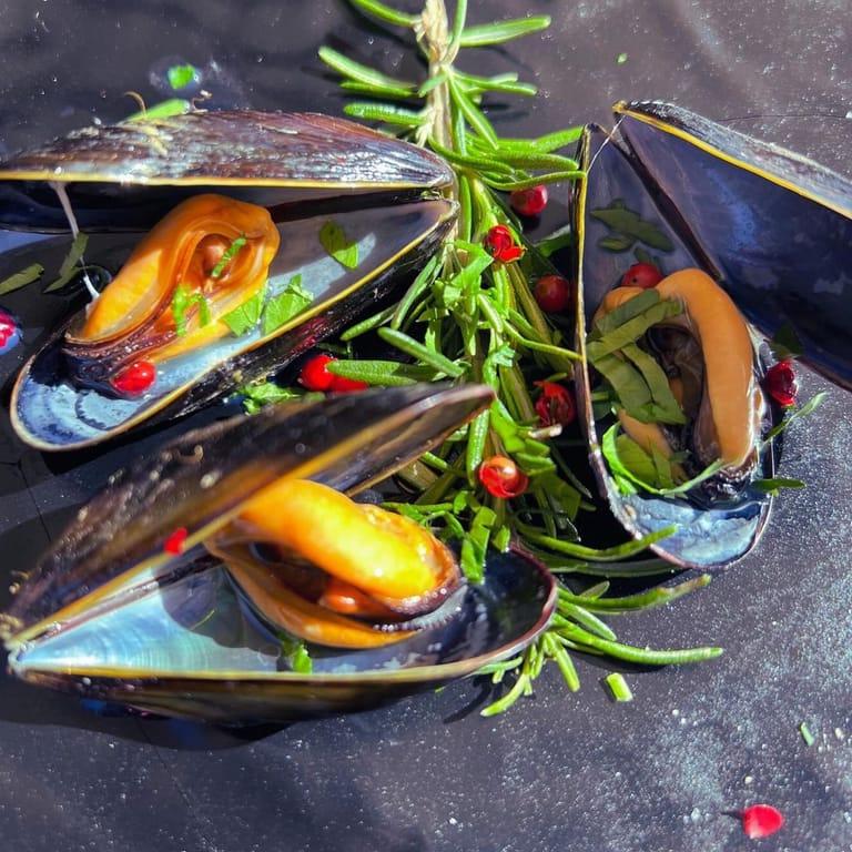 image of The Mussel House